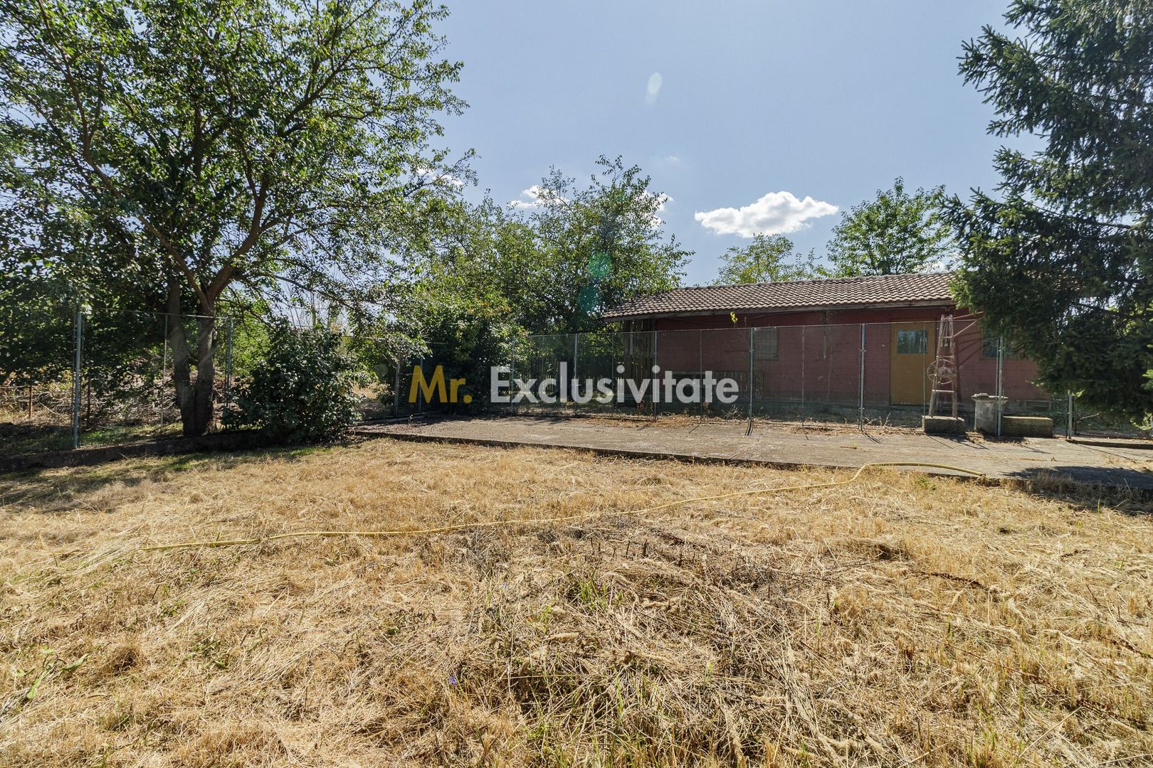Domeniu privat 5.000 mp, cu reședință de 625 mp și piscină, Corbeanca - Poză 42