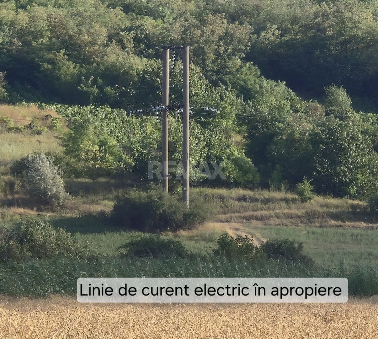 Teren agricol de 83 ari Com. Băcioi, Mun. Chișinău - Poză 1