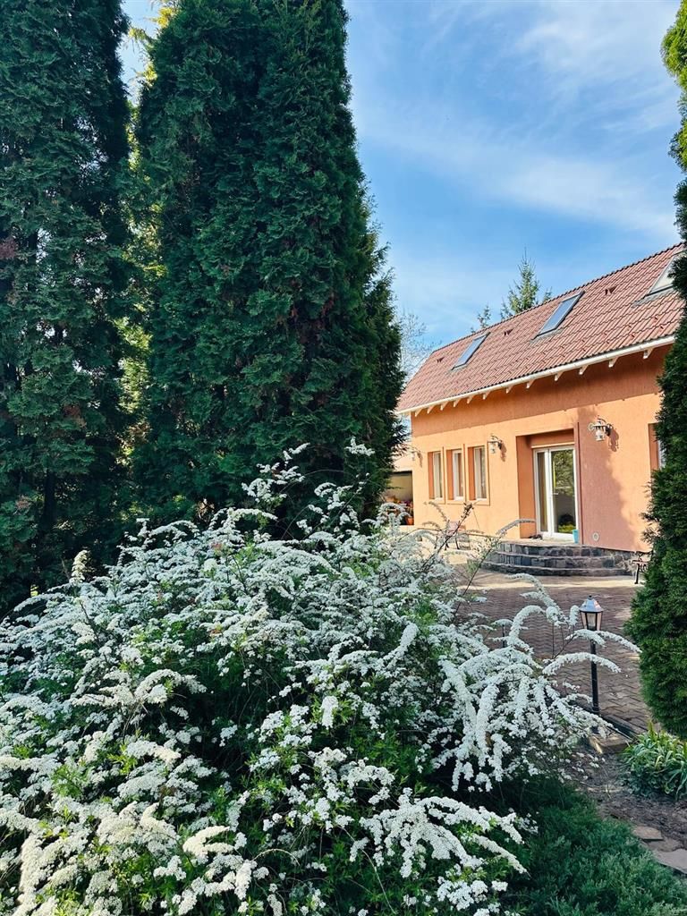 Vila remarcabila+casa boiereasca,in pretios areal de 2.100 mp, Santana de Mures - Poză 6