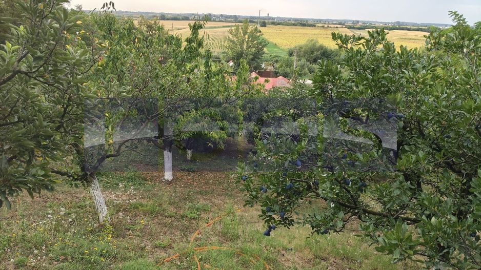 VANZARE CASA PARTER | CENTRALA PROPRIE | ZONA DRAGODANA - Poză 11