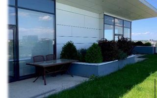 Boutique Offices - Damaroaia - Poză 7