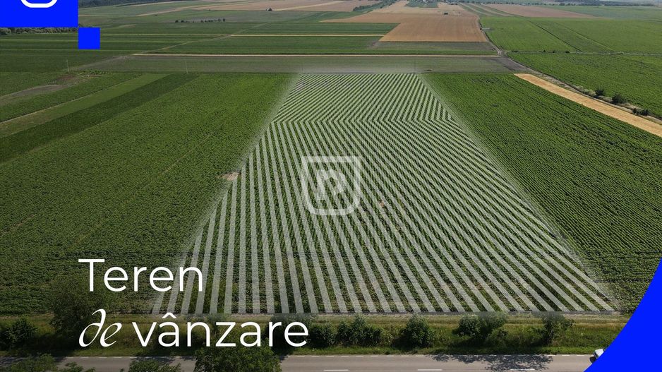 Teren - Orășeni Deal, Curtești | BOTOȘANI | 10.000mp - Poză 1