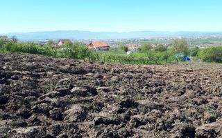 Teren de Vanzare - Gusterita - 5100mp - Intravilan - 0% Comision - Poză 2