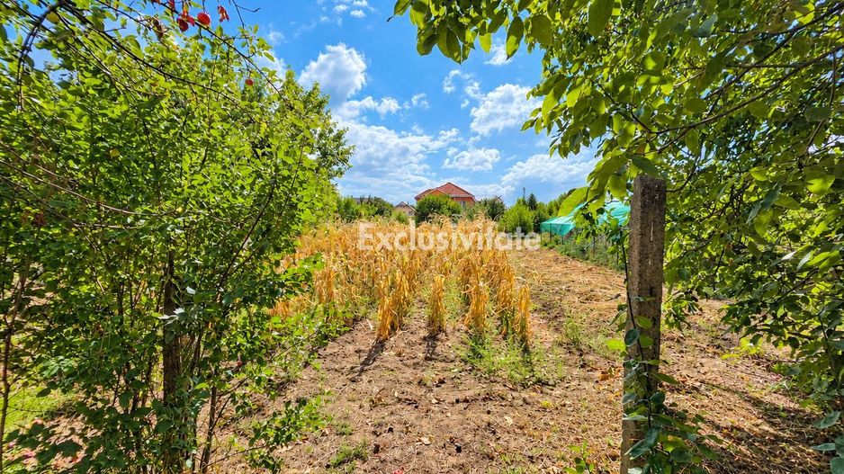 Casă de Vanzare, Str.Bradului,Nr.68,Satu Mare - Poză 5