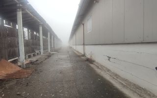 De inchiriat hale pentru productie/depozitare - Baciu 5E/m2 - Poză 3