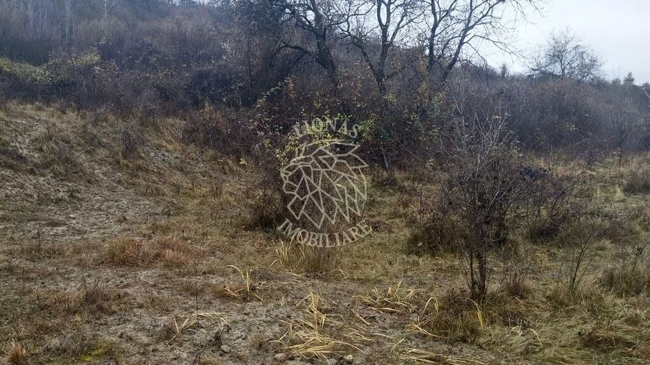 Teren 1000 mp-ideal casa de vacanta, investitie-Zona Valea Budacului - Poză 4