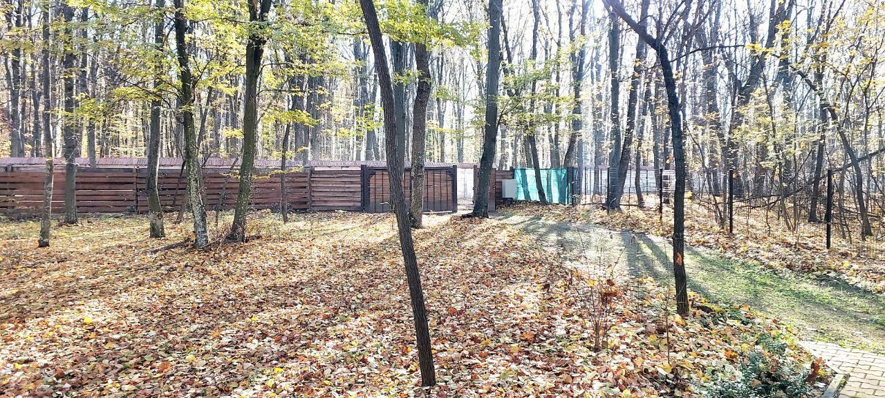 50 ari de Teren forestier si de recreere in Codri!! - Poză 5