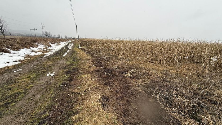 Teren extravilan | Gălănești | 7.276 mp | Front 29 m - Poză 3