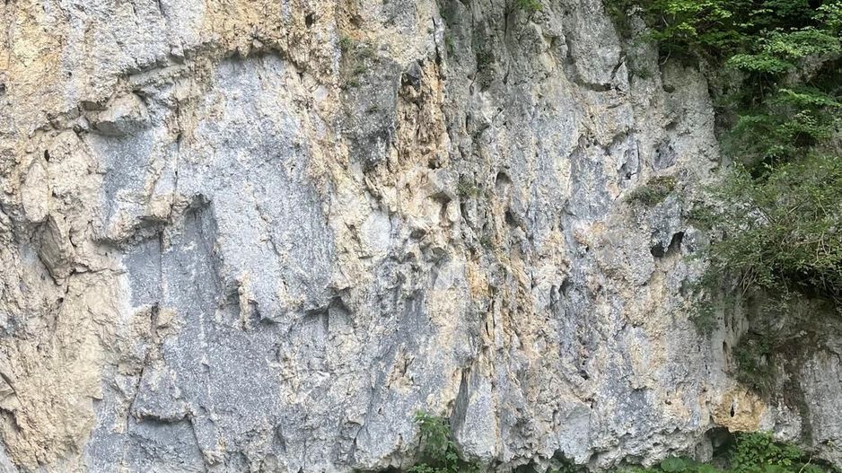 Teren pentru investiție turistică în Dâmbovicioara – Baranga | 4.500 mp | Front ~102 ml - Poză 20