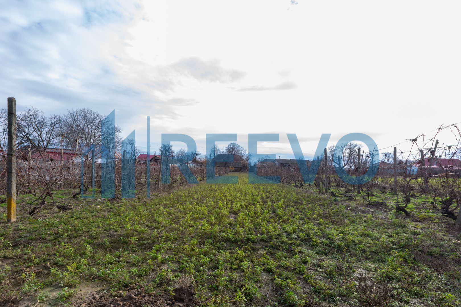 Casa si teren 3365mp Sascut - Poză 30