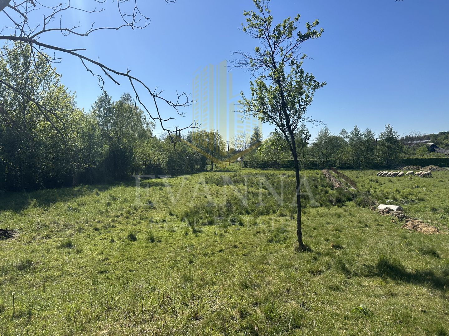 Teren 1000MP | Tautii Magheraus | strada 58 - Poză 3