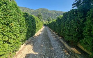 Pensiune 20 camere Bran langa castel - Poză 5