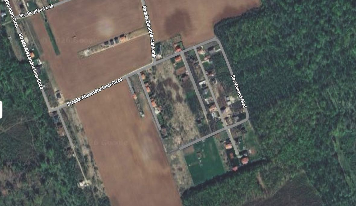 800 mp padurea Snagov Ciofliceni l utilitati la strada - Poză 8