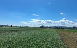 Teren intravilan 27 ari | Horodnic de Sus | Front stradal 13 m - Poză 10