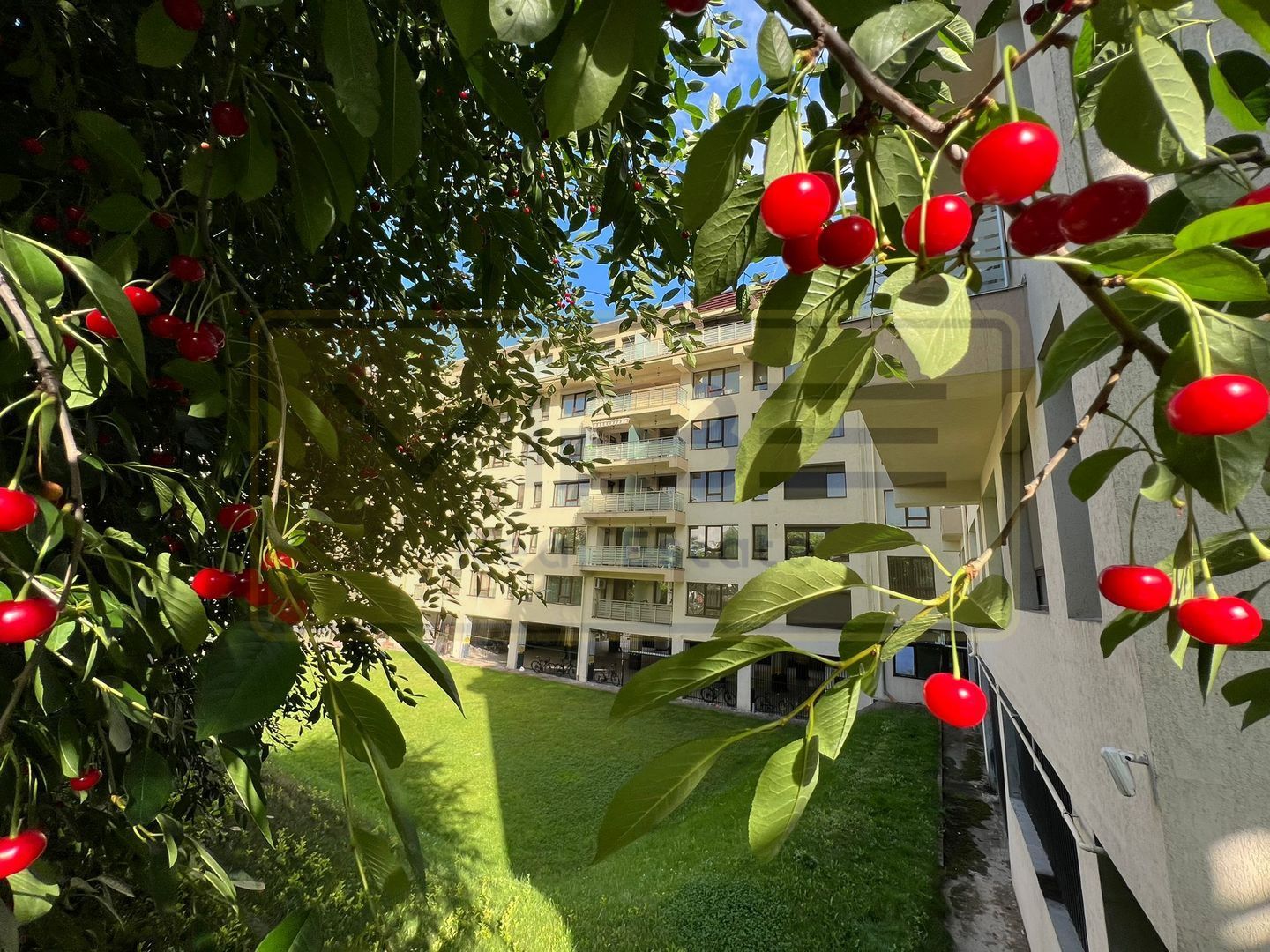 Garsoniera Copou Parcul Expozitiei Exclusive Residence - Poză 23