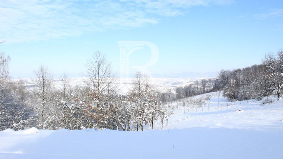 Proprietate rară | 4458 mp teren intravilan | Casă solidă, natură, liniște totală. | Bratca, Bihor. - Poză 59