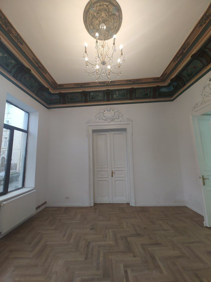 Vila Reprezentativa  8 camere Calea Mosilor - Poză 11