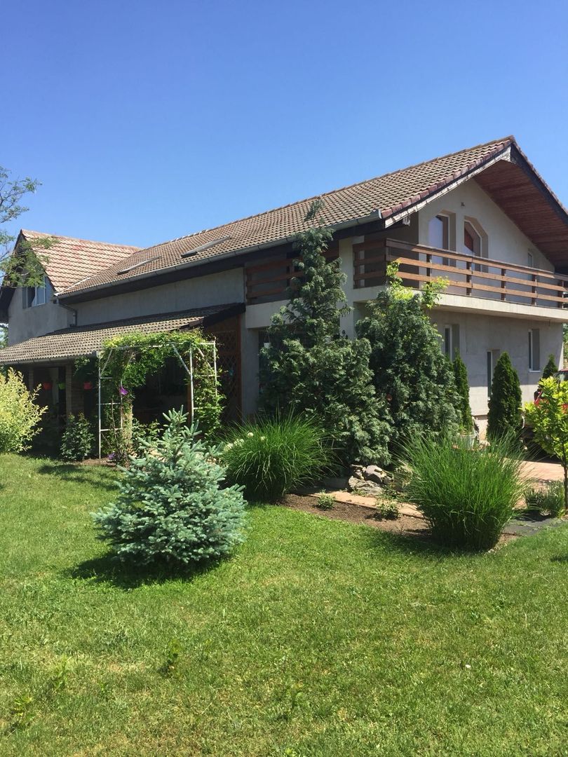 Proprietate cu potențial rezidențial și comercial | Comuna Pesac - Poză 10