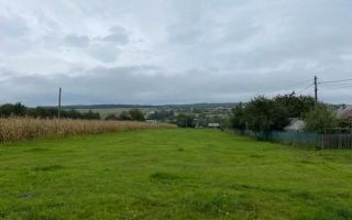 Teren intravilan 14.500 mp de vânzare, sat Iorcani, comuna Tătăruși, județul Iași - Poză 1