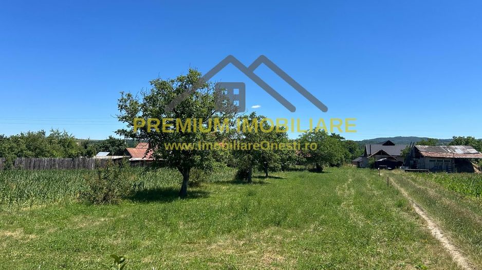 Teren intravilan de vânzare – Cașin, județul Bacău - Poză 3