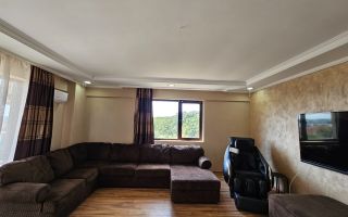 3 camere Inacu Nicoale Baneasa Piscina - Poză 8