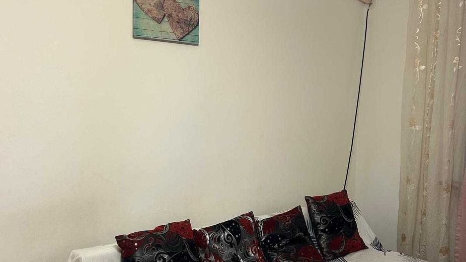 Apartament Ultracentral English Park - Poză 2