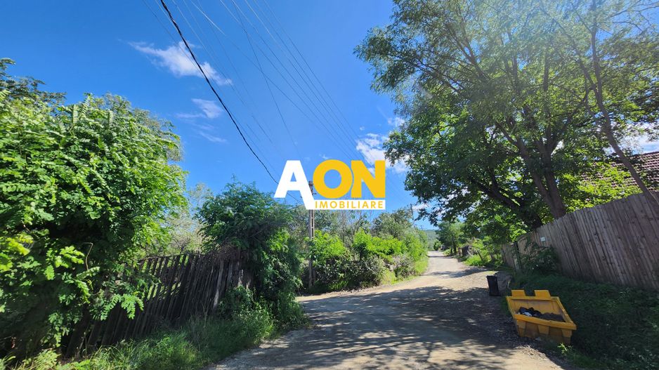 De vanzare 2965 mp teren intravilan, toate utilitatile, Oarda de Sus - Poză 11