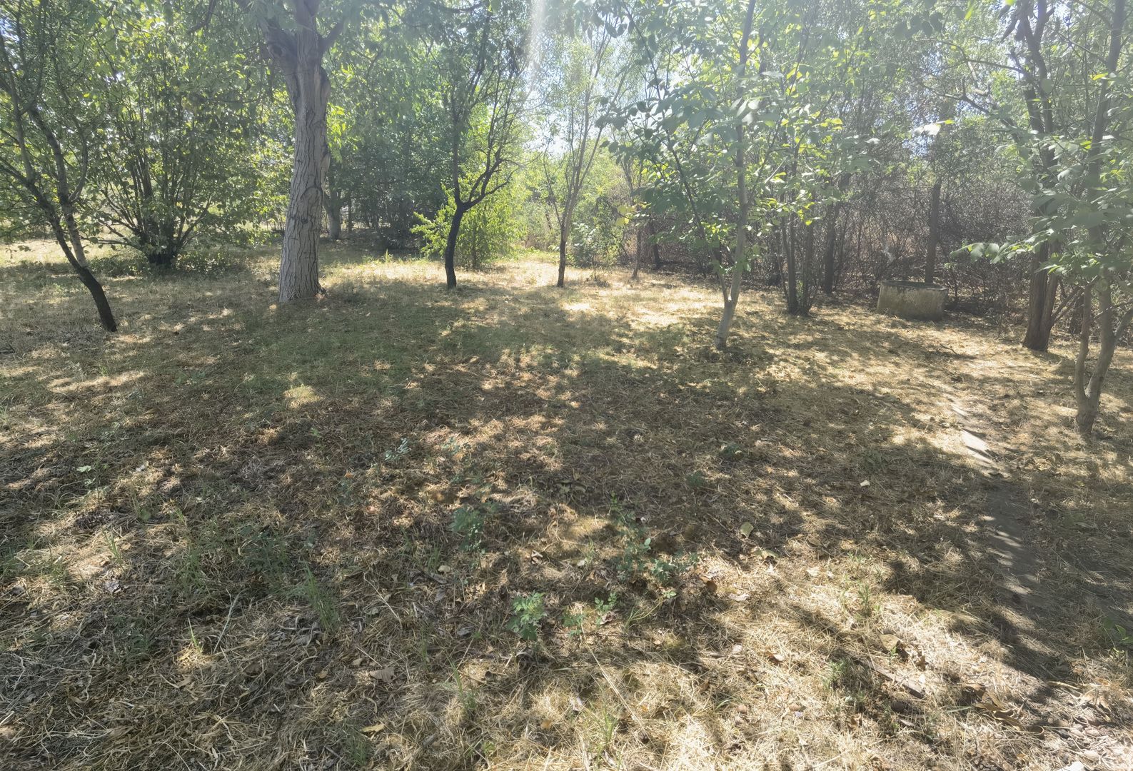 Spatiu industrial zona Sud-Arad - Poză 27