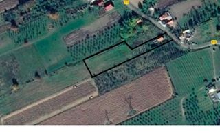 Casa de Vanzare Baiculesti Arges - Poză 8