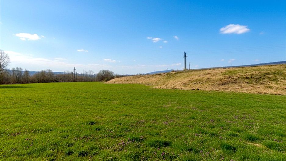 Teren 12.400 MP | 180 ml deschidere E85 | Pătrăuți | 70.000€ - Poză 4