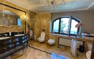 Domeniu vila Balotesti 4000 mp teren 60 m deschidere lac - Poză 30