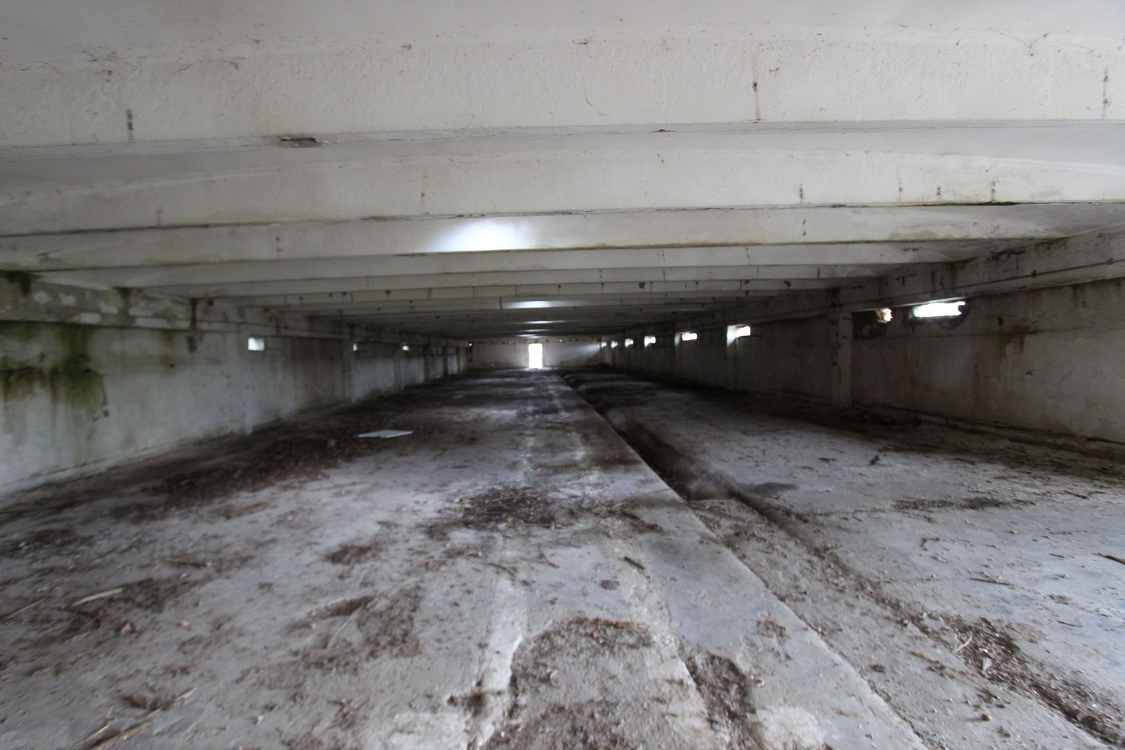 Vanzare hale Mosnita Noua-fosta Ferma 7 - Poză 3