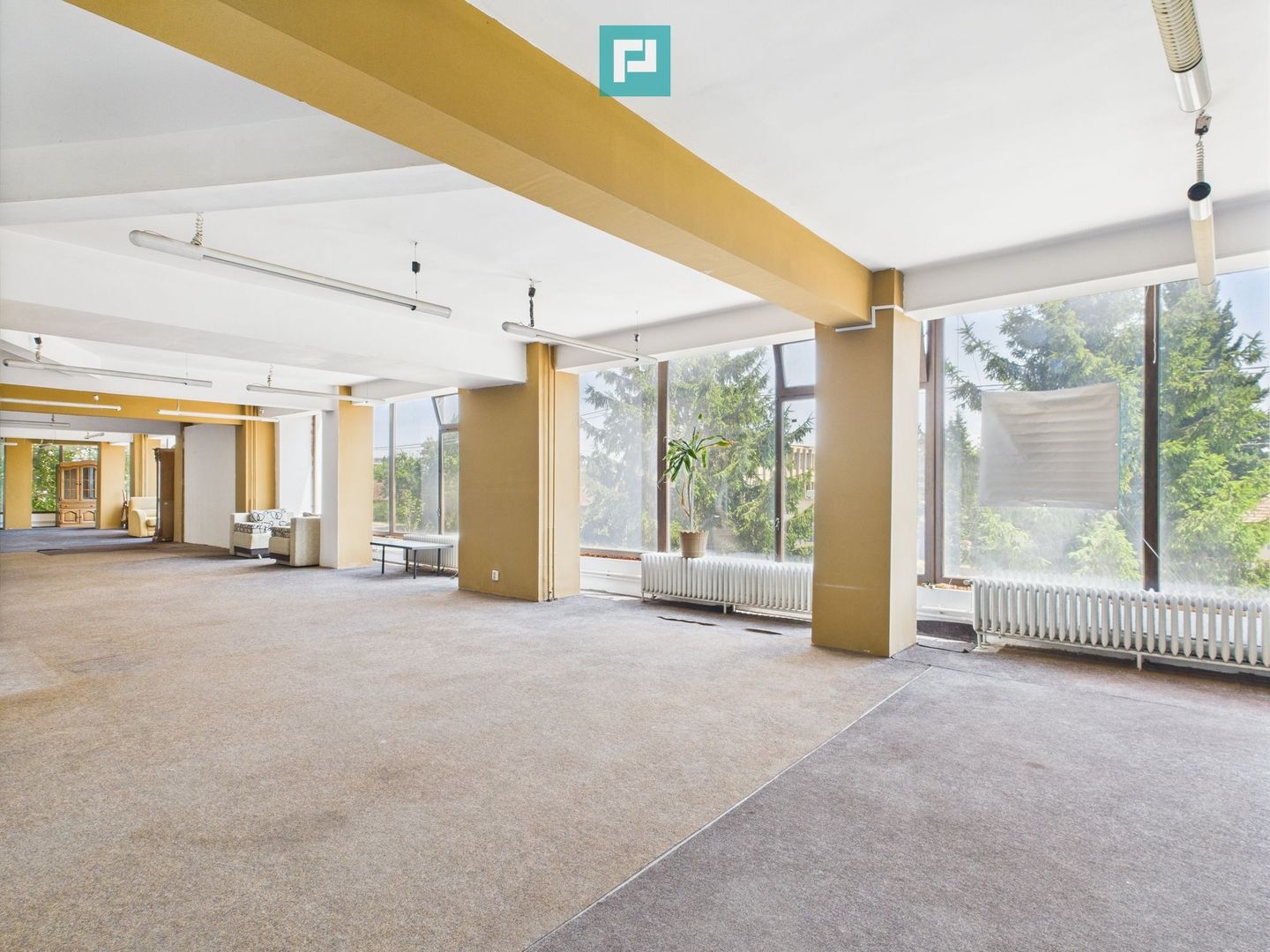 SAD – Calea Aradului, vad excelent - Poză 2