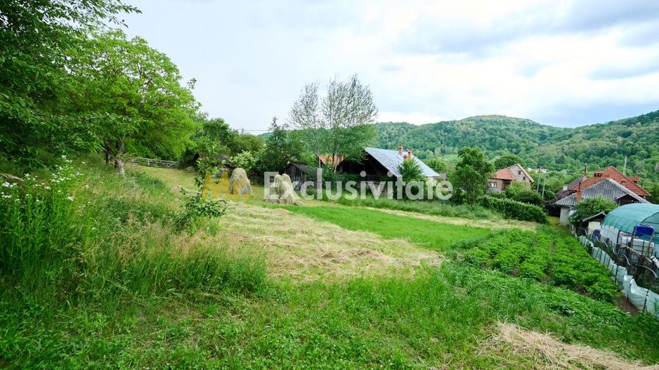 Casa cu teren generos - 4696 mp Apa Sarata - Campulung !! - Poză 11