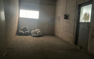 Hala | 380 MP | Teren 800 MP - Poză 4