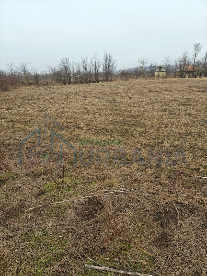 Teren intravilan de vanzare, 3160 mp, strada Garii, sat Hodora, comuna Cotnari - Poză 4