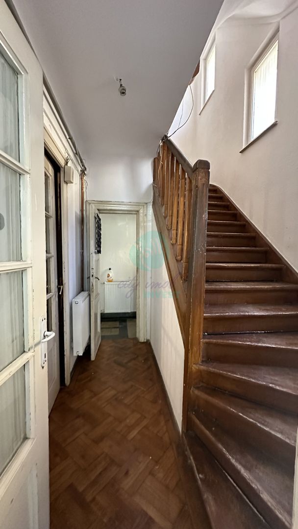 Vila boema in VATRA LUMINOASA - Poză 5