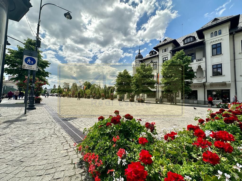 Business la Cheie PE PROFIT !!! Investitii ZERO ! - Poză 1