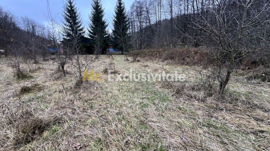Teren intravilan 6.500 m²–Deschidere 144 ml drum european E81, km 35, Morăresti - Poză 1