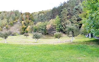 Teren superb de 16240mp, parcelabil, in Bran la intrare in Moeciu de Jos - Poză 17