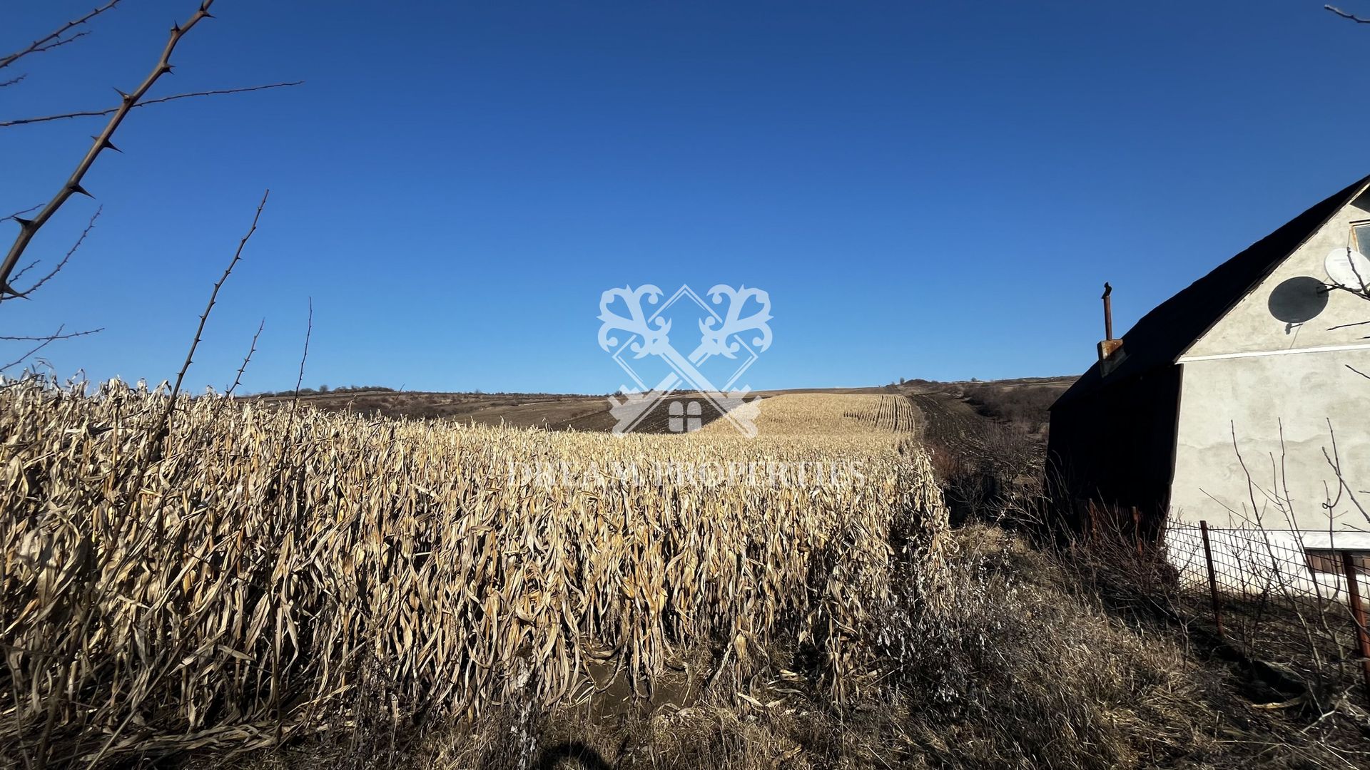 Oportunitate investitie! Teren extravilan Valea Fanatelor, 1ha - Poză 4