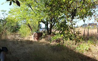Casă individuală cu 4 camere în Burila Mare, jud. Mehedinți - Schiță 5