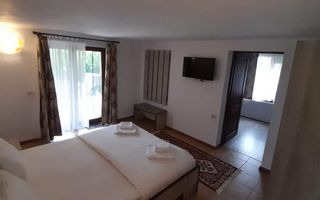 Pensiune superba in Muntii Apuseni, 2740 mp teren. COMISION ZERO! - Poză 16