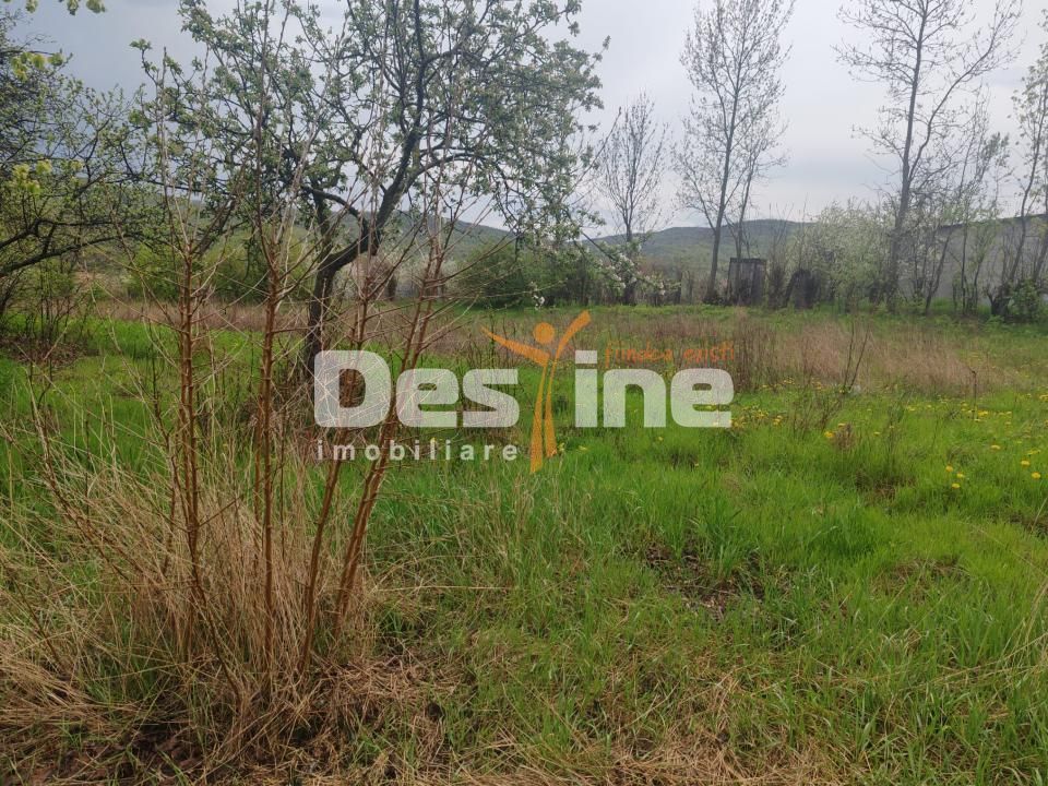 Teren intravilan in suprafata de 3160 mp, Puscasi, Poiana lui Alexa - Poză 3