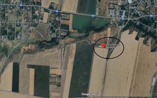 Ferma de gaini ouatoare in sistem free-range | 45.000 mp teren - Poză 7