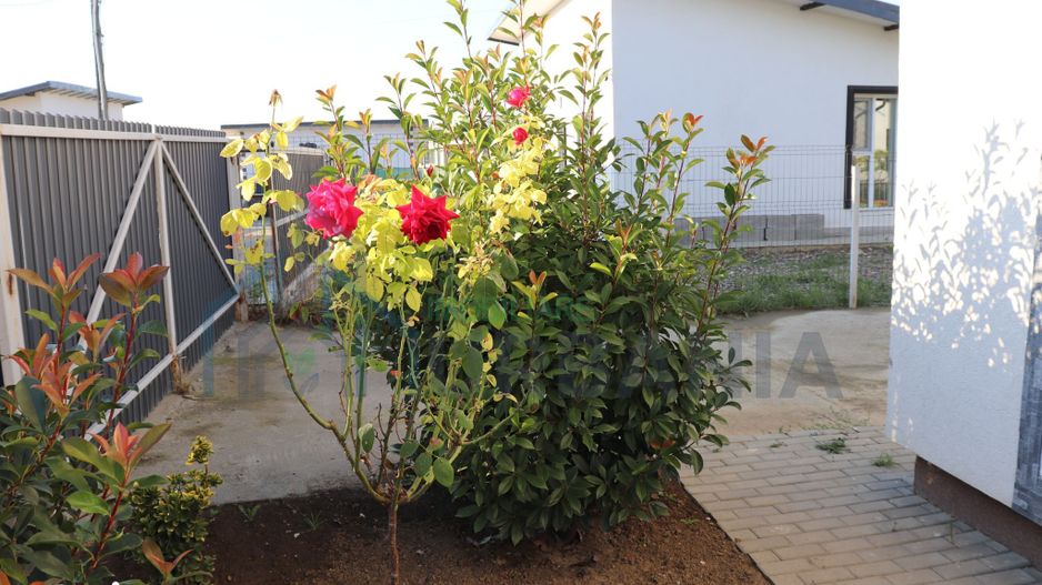 DIRECT PROPRIETAR, Casa de vânzare, 3 camere 85 mp, curte 400 mp - Poză 19