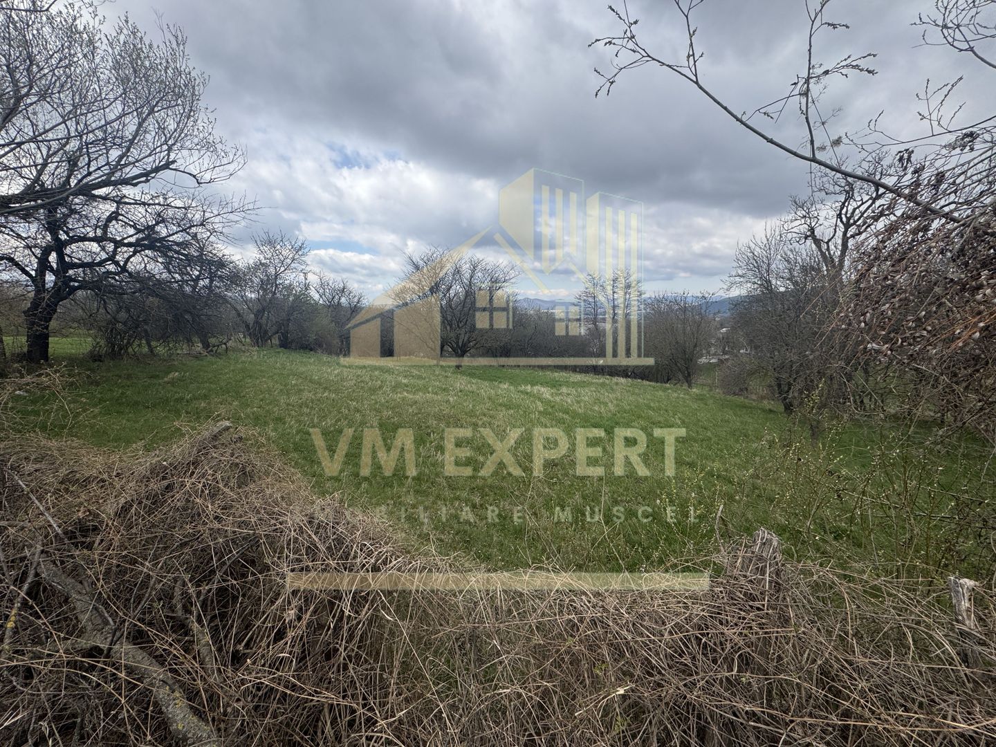 TEREN INTRAVILAN 2153 MP IN VALEA MARE PRAVAT - Poză 2