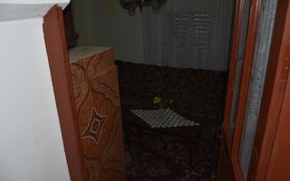 CASĂ TRADIȚIONALĂ CU GRĂDINĂ GENEROASĂ ȘI VIE – ISACCEA, JUD. TULCEA - Poză 10