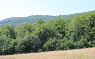 Terenuri Carpinis I parcelabil I Curent pe proprietati - Poză 24