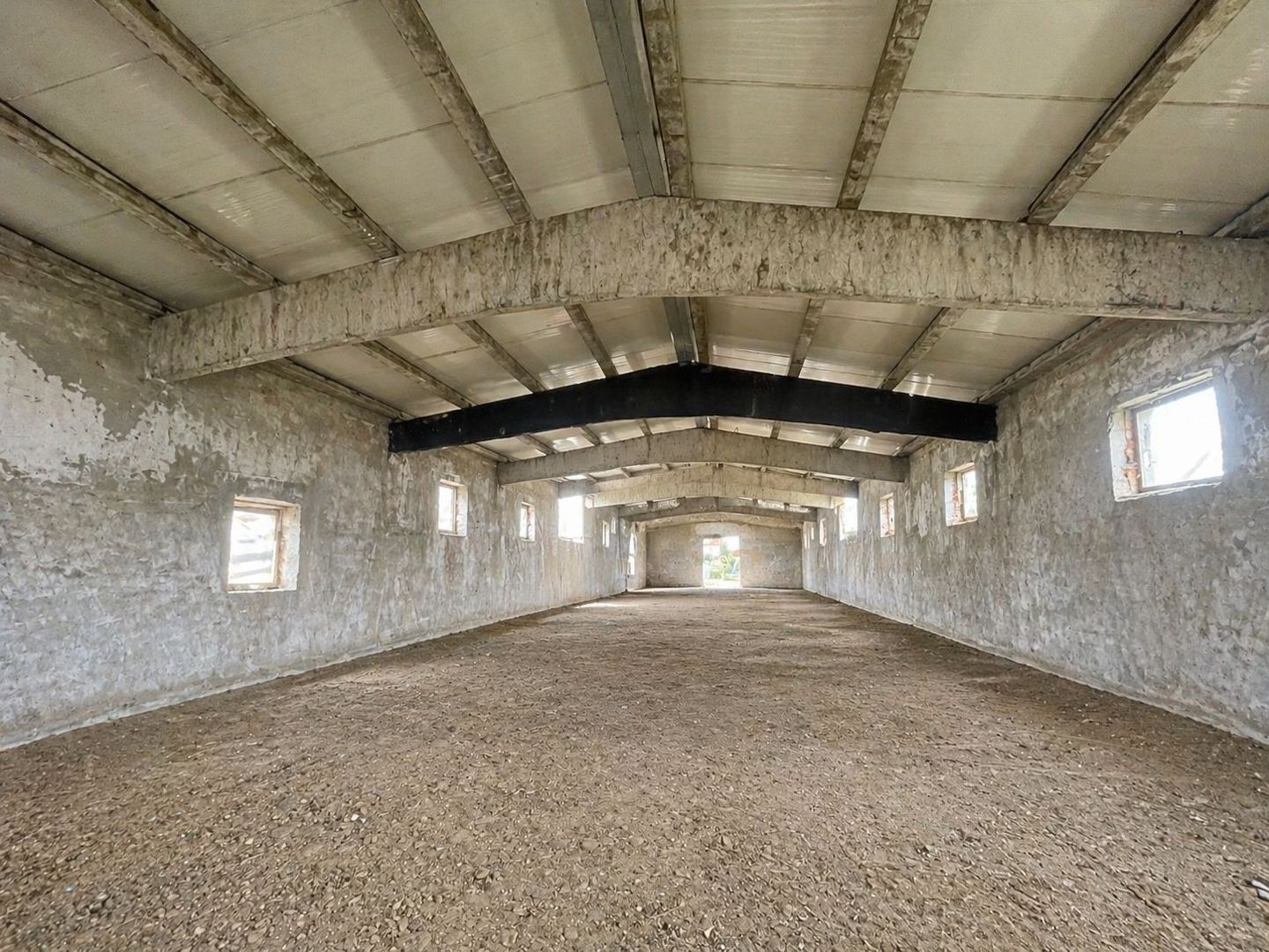 Hala Industrială / Agricolă | 800 MP Construcție + 800 MP Teren | - Poză 1